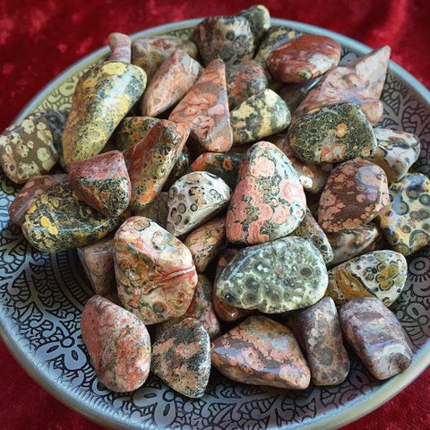 Leopardskin Jasper: Animal Spirit and Earth Connection