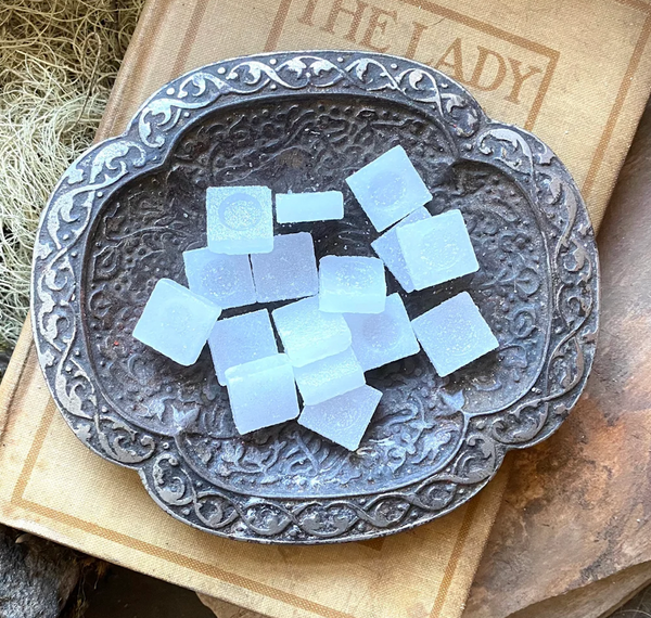 Camphor: Negative Energy’s Worst Nightmare