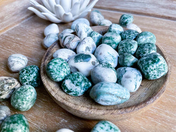 Inner-Peace and Mother Earth Connection: Tree Agate