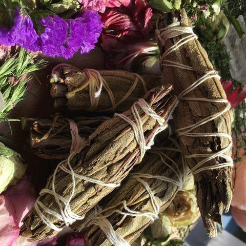 Yerba Santa: Healing and Protective