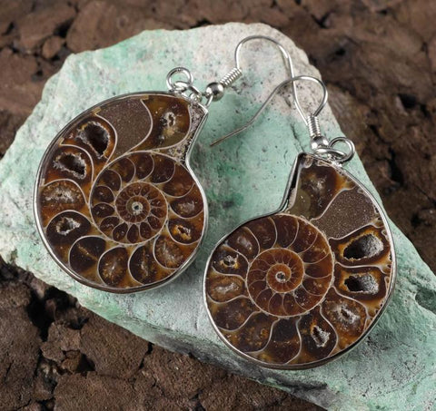 Ammonite: Change and Evolution Earrings